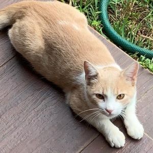 Meet your Posher, Meriem